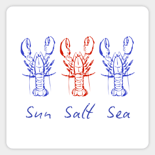 Sun Salt Sea Magnet